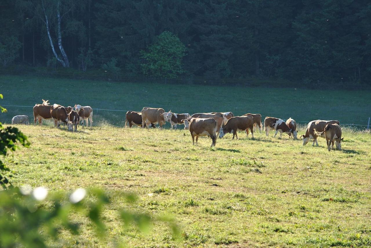 Ferienhaus Nordschwarzwald Neuweiler  Extérieur photo